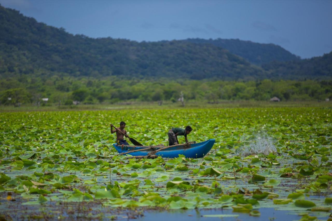 Grand Tamarind Lake Kataragama Kültér fotó