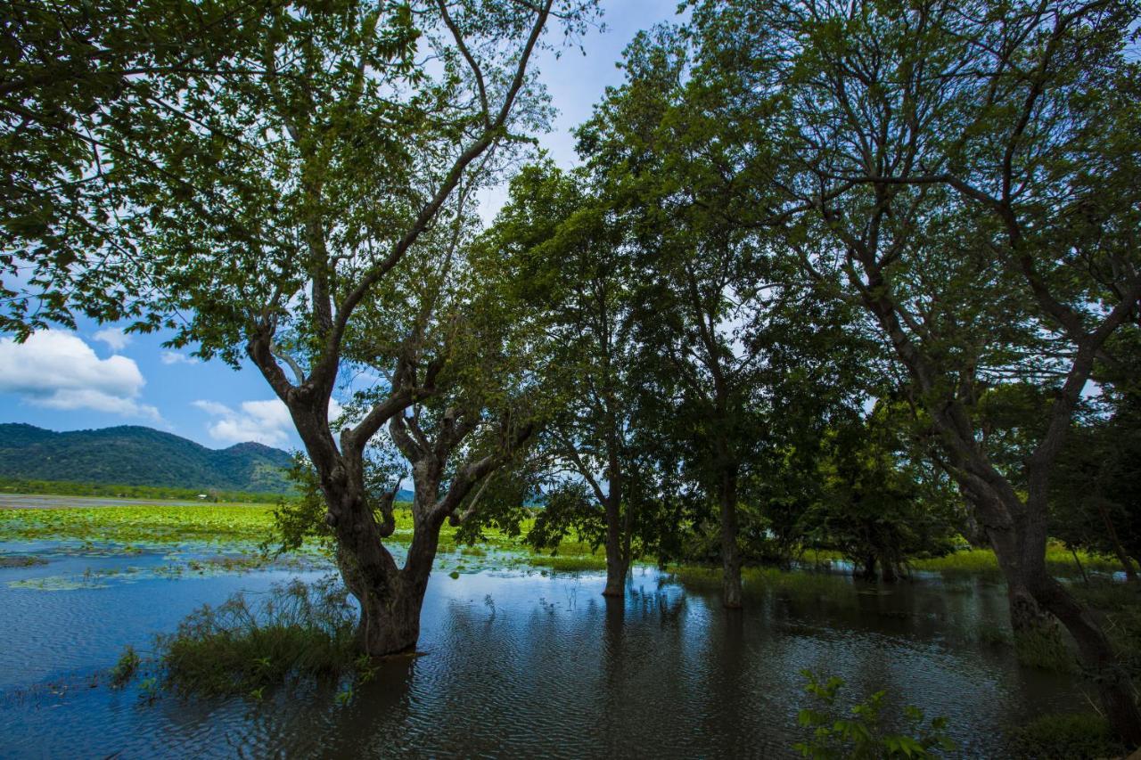 Grand Tamarind Lake Kataragama Kültér fotó