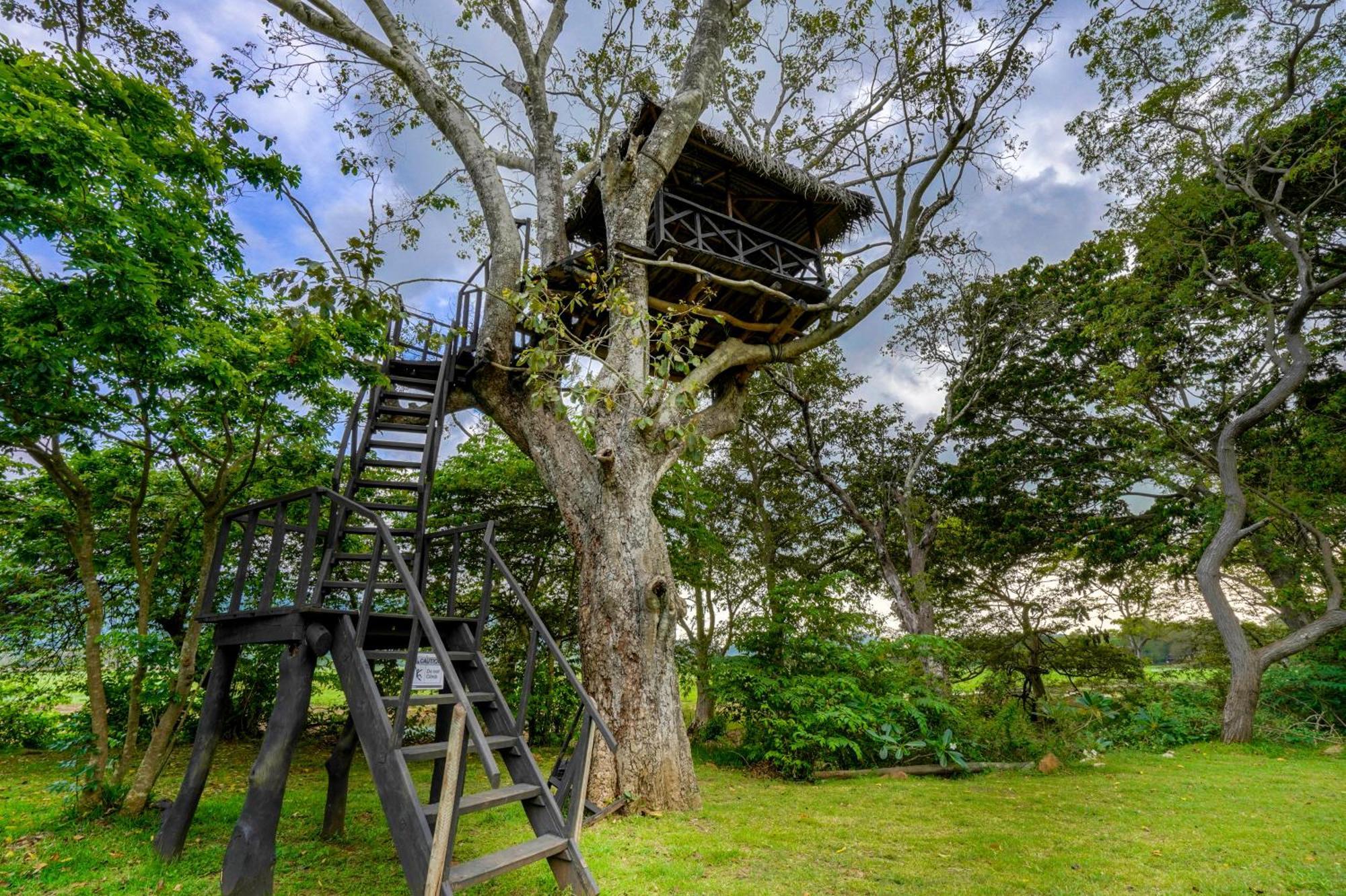 Grand Tamarind Lake Kataragama Kültér fotó